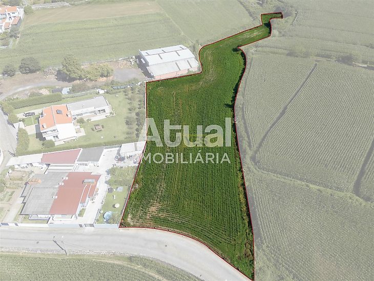 main-listing-picture-0