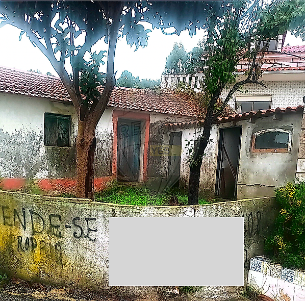 main-listing-picture-0