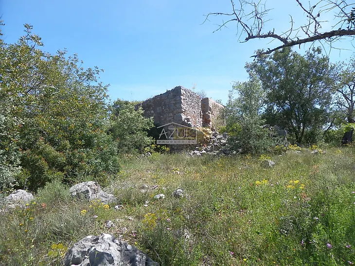 main-listing-picture-0