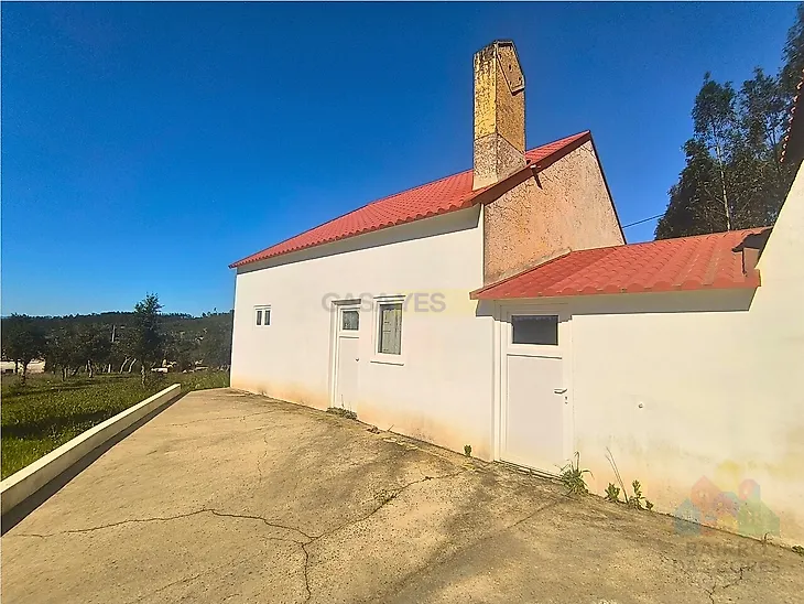 main-listing-picture-0