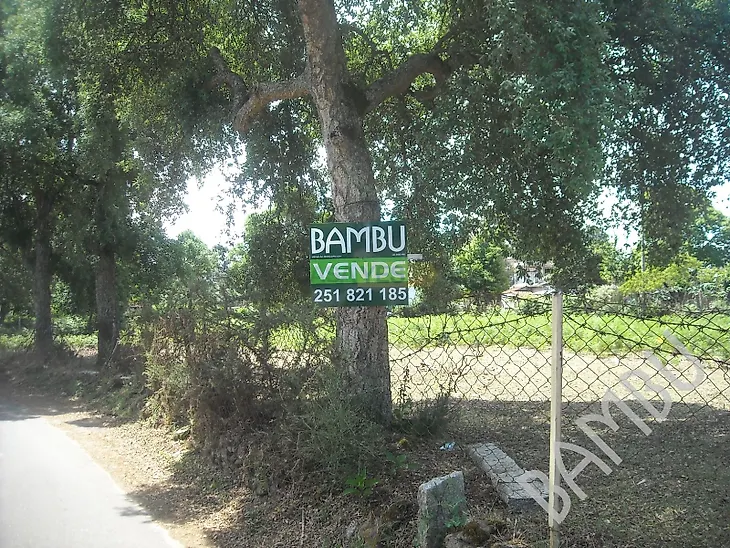 main-listing-picture-0