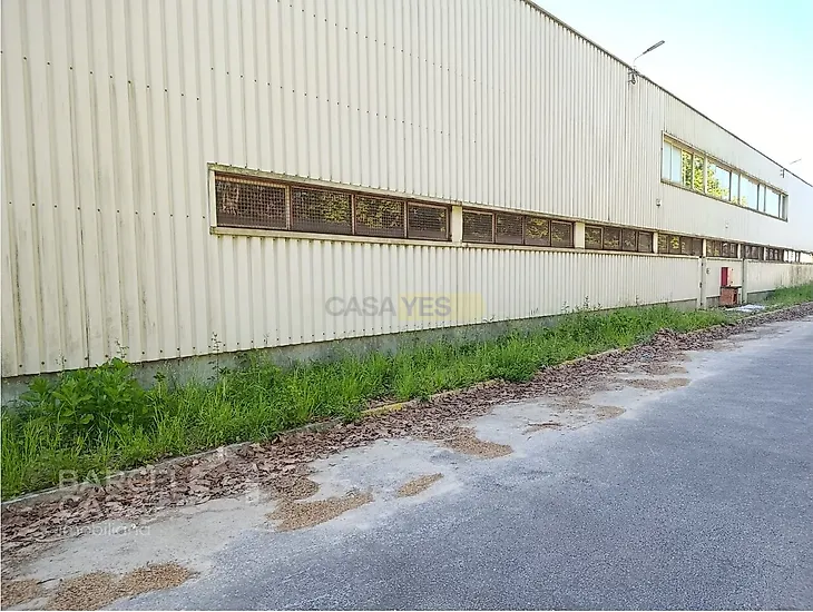 main-listing-picture-0