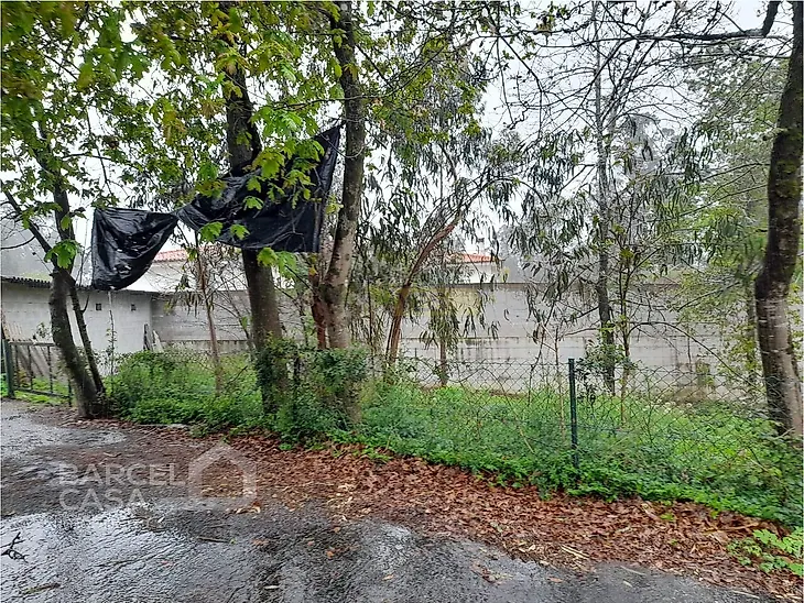main-listing-picture-0