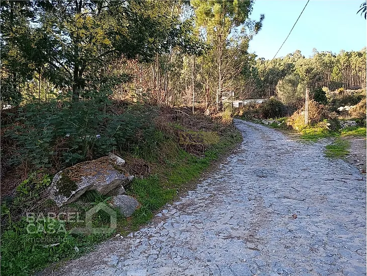 main-listing-picture-0