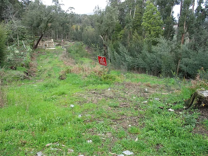 main-listing-picture-0