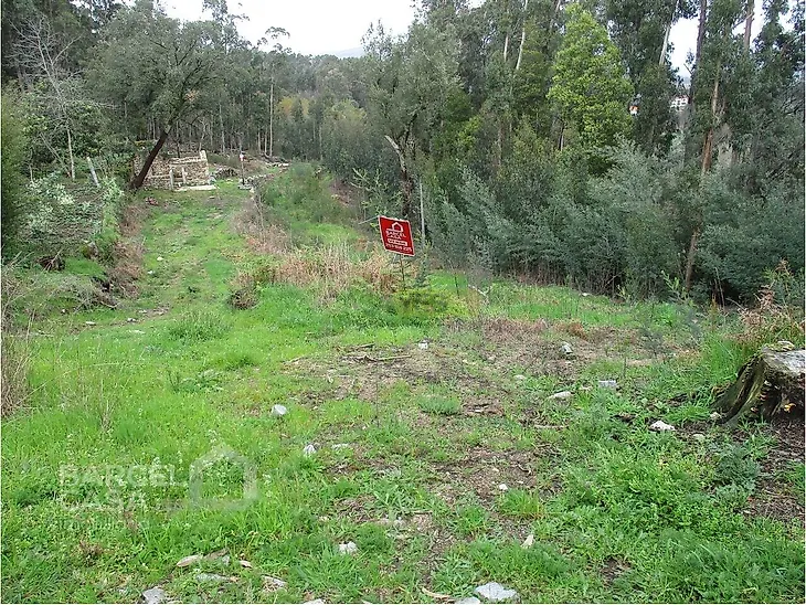 main-listing-picture-0