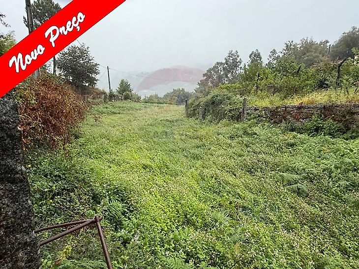 main-listing-picture-0