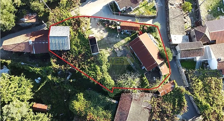 main-listing-picture-0