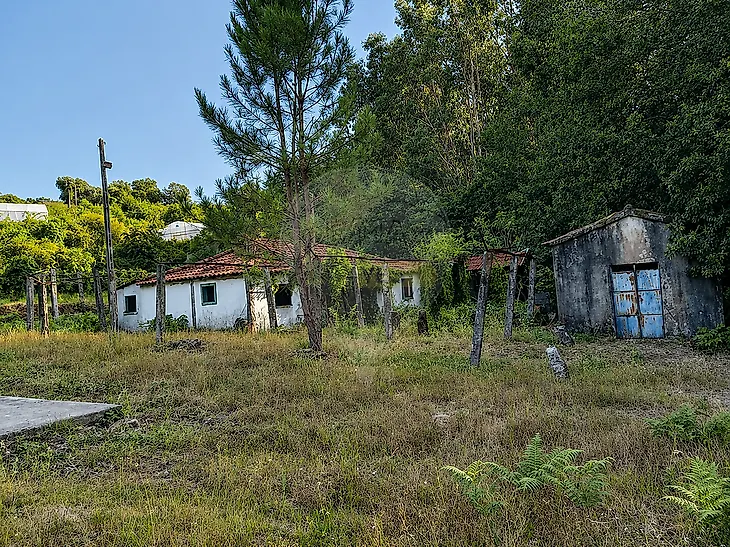 main-listing-picture-0