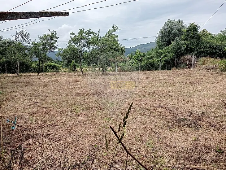 main-listing-picture-0