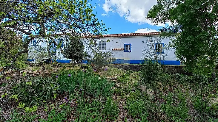 main-listing-picture-0