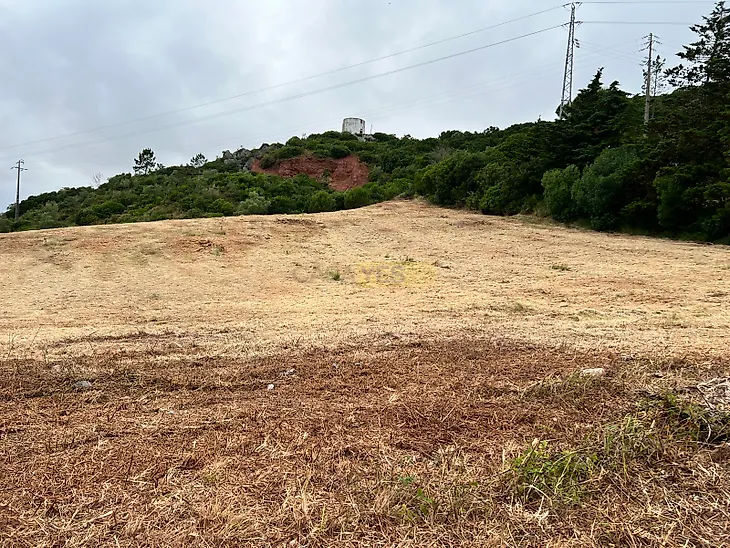 main-listing-picture-0