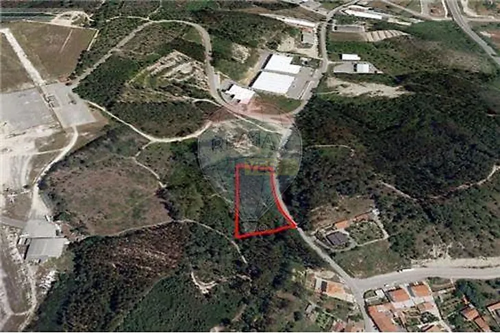 main-listing-picture-0