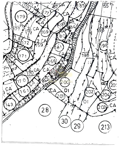 main-listing-picture-0