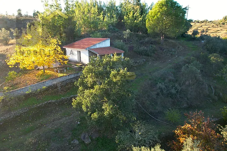 main-listing-picture-0