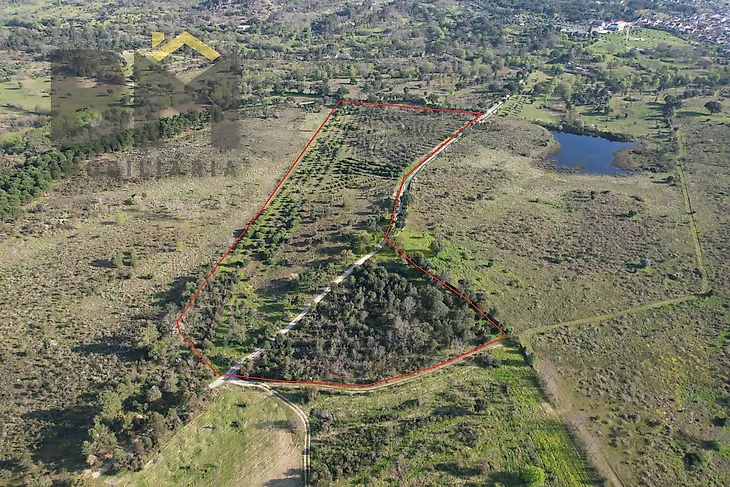 main-listing-picture-0