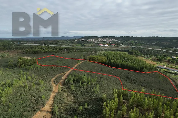 main-listing-picture-0