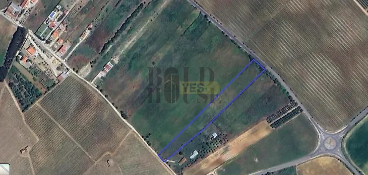 main-listing-picture-0