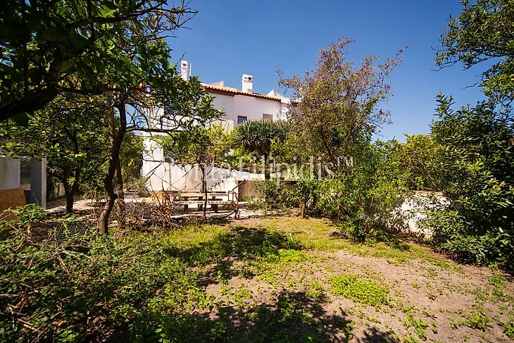 main-listing-picture-0