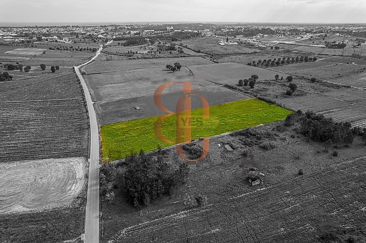 main-listing-picture-0