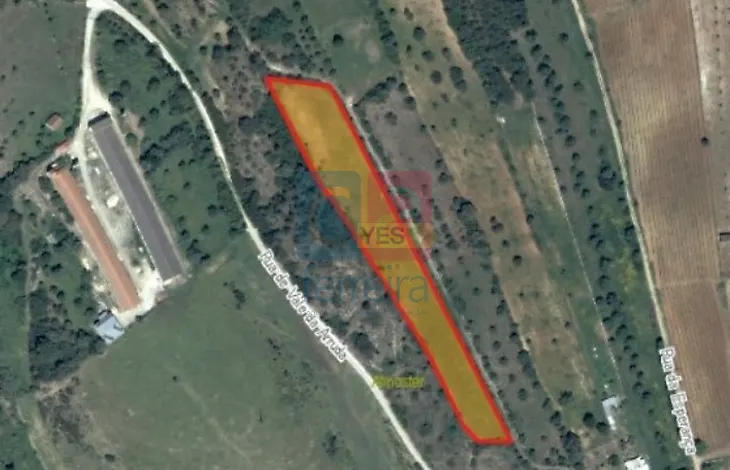 main-listing-picture-0