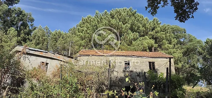 main-listing-picture-0