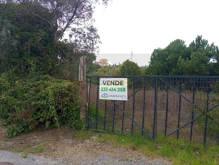 main-listing-picture-0