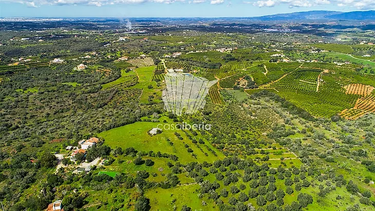 main-listing-picture-0