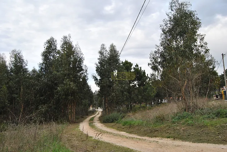 main-listing-picture-0