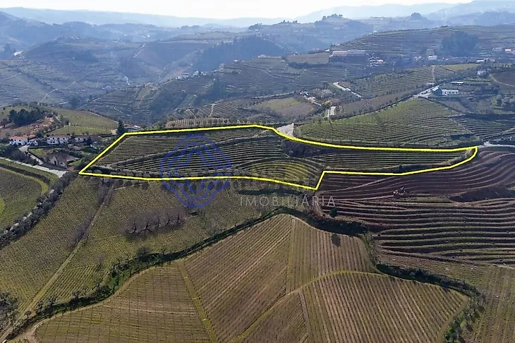 main-listing-picture-0
