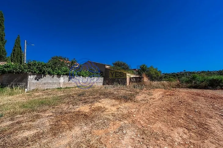 main-listing-picture-0