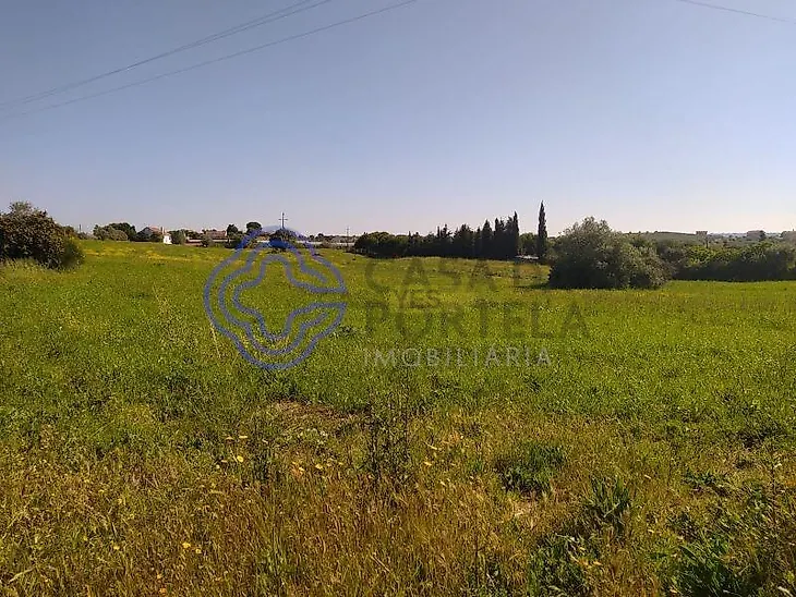 main-listing-picture-0