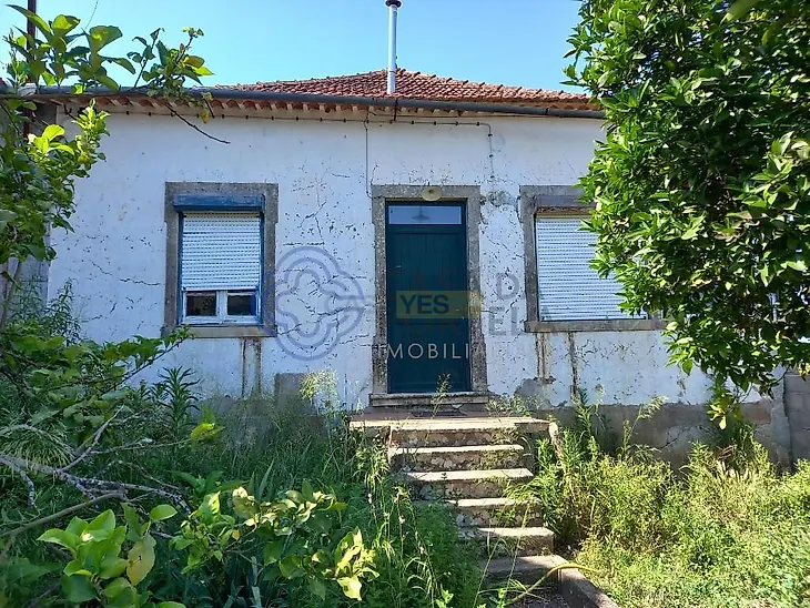 main-listing-picture-0