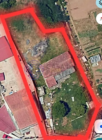 main-listing-picture-0