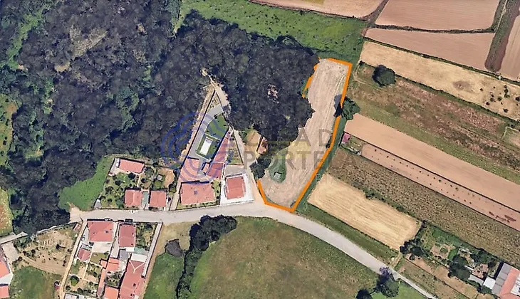 main-listing-picture-0