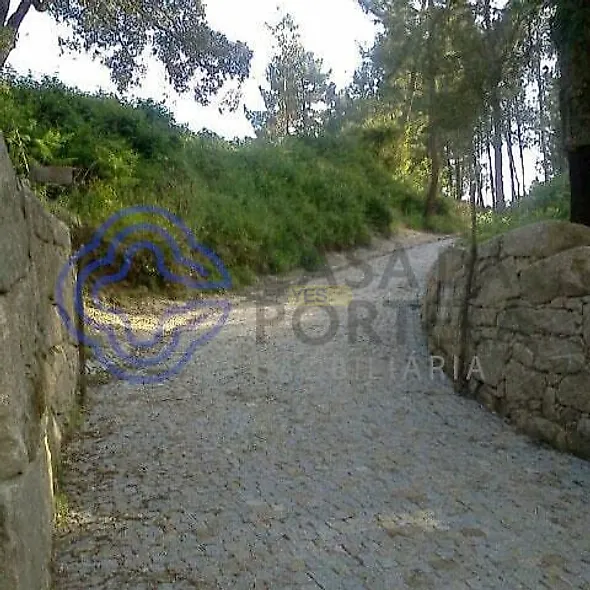 main-listing-picture-0