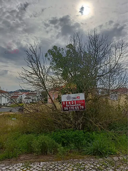 main-listing-picture-0