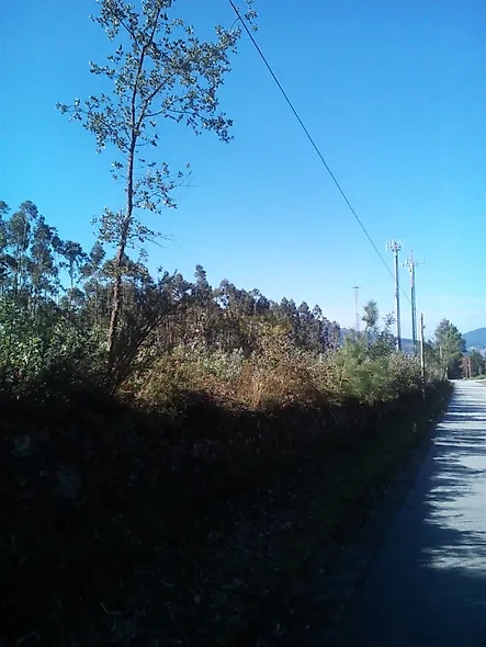 main-listing-picture-0