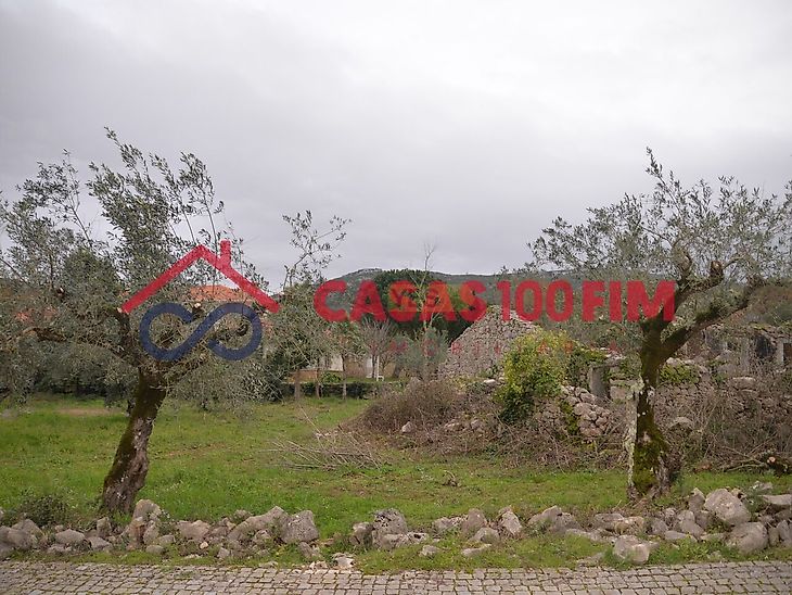 main-listing-picture-0