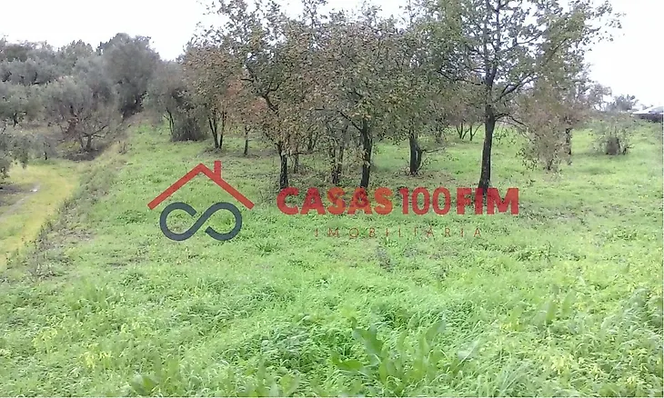 main-listing-picture-0