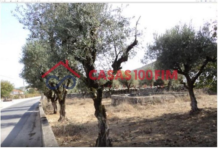 main-listing-picture-0