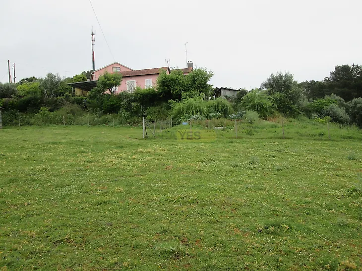 main-listing-picture-0