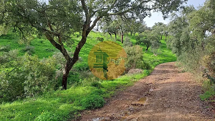 main-listing-picture-0