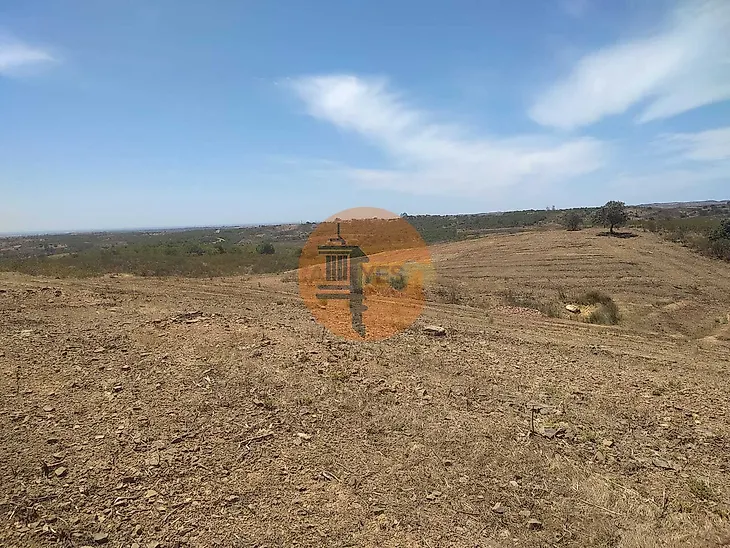main-listing-picture-0
