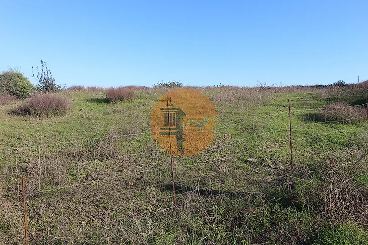 main-listing-picture-0