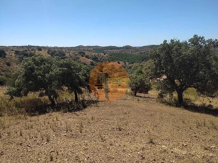 main-listing-picture-0