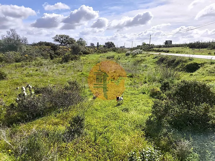 main-listing-picture-0