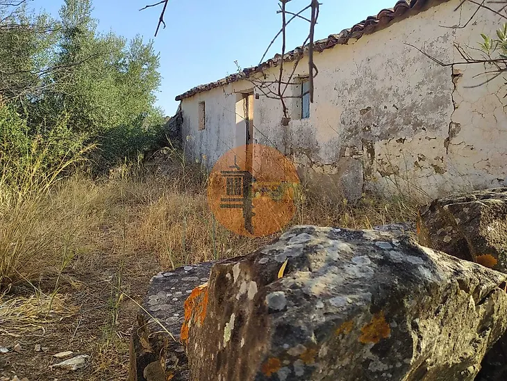 main-listing-picture-0