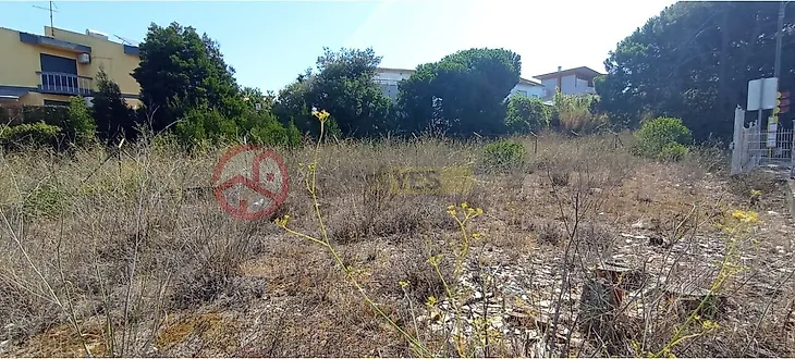 main-listing-picture-0