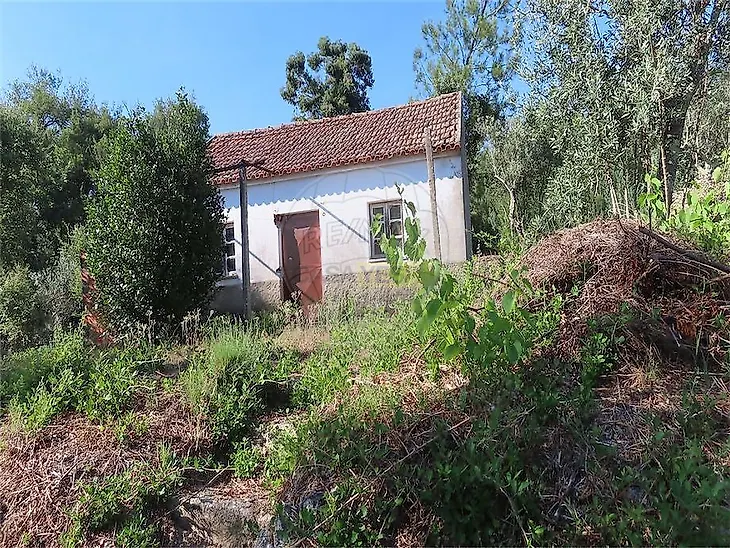 main-listing-picture-0